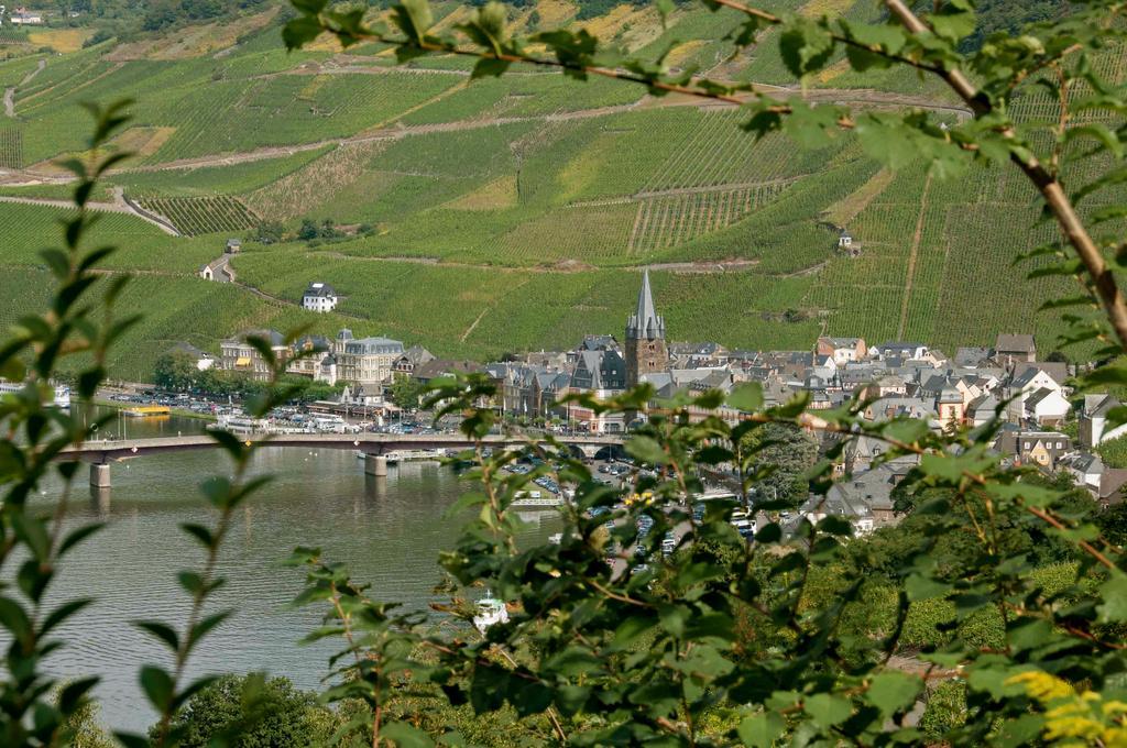 Alter Posthof Ferienwohnungen برنكاستيل كويس المظهر الخارجي الصورة